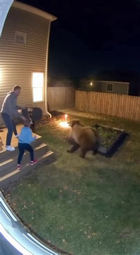 47K views · 204 reactions | CCTV Footage: Bear charges child — Homeowner scares it off with chair!  #BearAttack #CCTVCaught #CaughtOnCamera #BraveOwner #AnimalAttack #WildlifeEncounter #RealFootage #BackyardSafety #USAHouse #ViralShorts | Ai World | Facebook