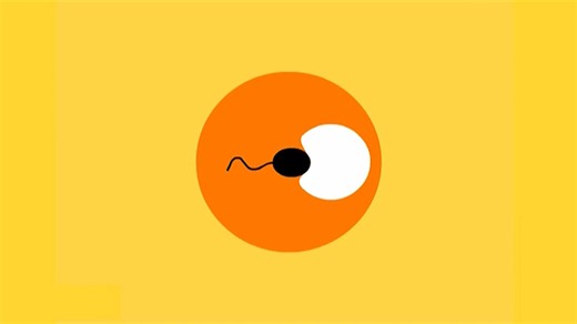 birth-move-ment - preventive obstetrics and postnatal care