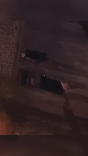 Real Rake Braking Through Fence