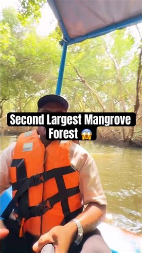 Largest Mangrove Forest 🌳 | 2nd Largest Mangrove Forest | Travelwithnabeeb26 #shortsfeed #shorts