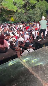 San Pablo / bolivar | REY DE ROCHA