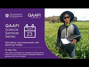 Stimulating crop improvement with plant crop models