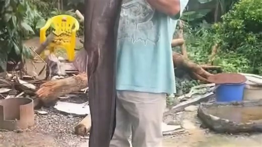 这些奇奇怪怪的鱼你认识几种，你知道哪些能吃吗？