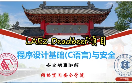 四川大学程序设计基础(C语言)与安全 安全项目讲解（lab2 Deadbeef项目）