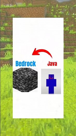 Minecraft java skin in bedrock importieren