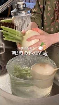 [5 AM Cooking] Miso-Pickled Turnips and Cucumbers🥒🫧