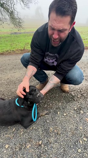 Rescue Day: Meeting Amazing Dogs from CA