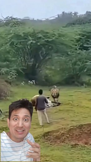 1.1K views · 17K reactions | ¿Con tal de Crear Contenido?  Este Influencer no le Teme al León!! #animals #influencer #reaction #usa #mexico #spain #reels #viral #fyp #viralvideo #viralreels | Sea of reactions | Facebook