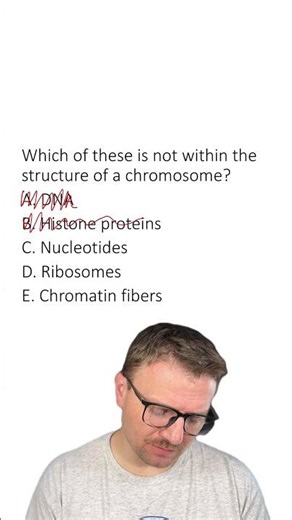 MCQ: Chromosomes