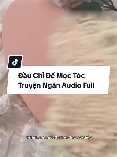 Đầu Chỉ Để Mọc Tóc Truyện Ngắn Audio Full #truyenaudiofull #xuhuong #truyenngan #kechuyen