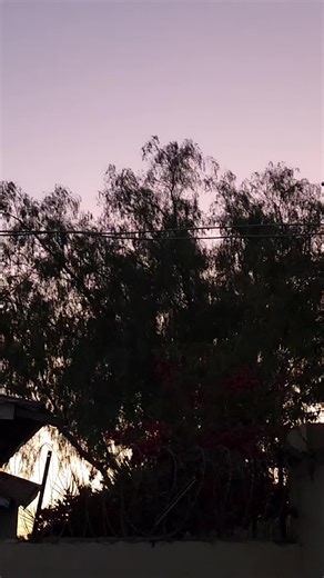 Mukhtar Hakaale on Instagram: "Saaka inaan habsan ahay waxaan ka gartay Asxaabtaydi way iga hor kolayaysteen - kalaheen, laba ama saddex shimbiroodbaa sii joogay fasalkii "Class" casharka arooryaad aanu kusii qaadan jiirnay #foryou #foryoupage #fyp #for #foryoupageシ"