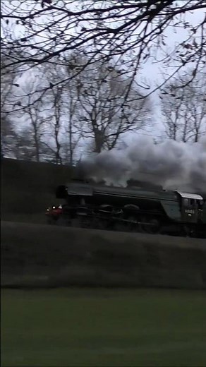 Flying Scotsman Powers Up Lickey Incline, Britain's Steepest Bank #shorts #steam #flyingscotsman