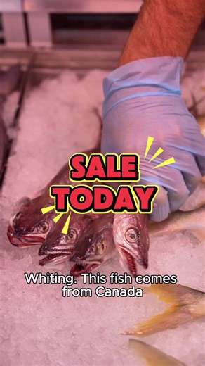 Our fresh whiting arrived one day late so we’re honoring our Wednesday sale today! (Thursday January 29) $49.99 for 5 lbs of whiting fish, crispy french fries, fresh fattoush, baba ganouge, and tahini sauce. Perfect for family dinner or sharing with friends!!