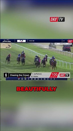 Saturday ROTD | November 8, 2025