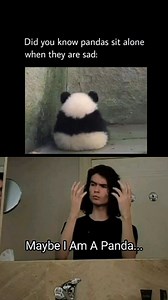 116K views · 2.5K reactions | Did you know this??? . . . . . . . . . #panda #funnyreel #comedy #meme #memes #facts #animals #sad #pandas | introvertsmindset | Facebook