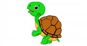 Cute Talking Green Tortoise 4k Hd Stock Footage Video (100% Royalty-free) 1109722645 | Shutterstock