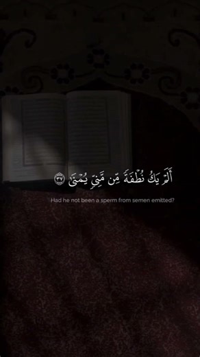 Surah Al-Qiyamah;Ayat number 31 to 40