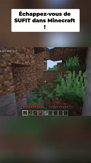 Effet Schizophrène Étrange dans Minecraft Cours Pour ta Vie !