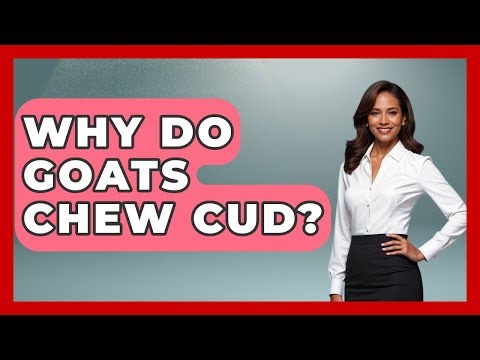 Why Do Goats Chew Cud? - The World of Agriculture