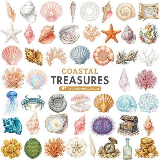 Watercolor Sea Shell Clipart, Coastal Treasure Beach PNG, Ocean Clipart Bundle, Nautical Sea Life Art, Summer Decor Download Commercial Use - Etsy