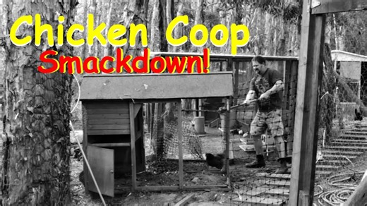 DIY chicken coop demo: Salvaging materials for a cleaner backyard!