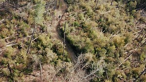 3.5K views · 137 reactions | Dieses Jahr verschlug es das Ghost...