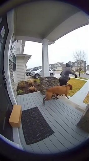 Caught Stealing the Bait Box! Funniest Porch Pirate Prank Ever