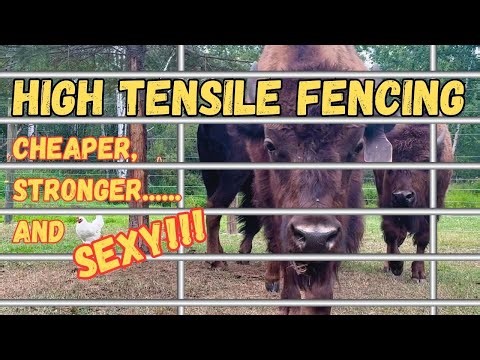 High Tensile Fencing. It's Better Than You Think!