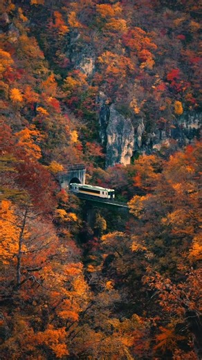 480K views · 10K reactions | Searching for Japan’s most breathtaking...