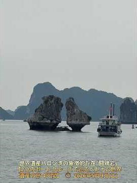 世界遺産ハロン湾の象徴的存在｢闘鶏岩｣【2つのボートクルーズで巡るベトナム世界遺産の旅 4日間】 ⑦ 2026年5月9日(土)