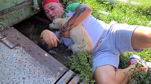 749K views · 18K reactions | S-a oprit live-ul din cauza lipsei de...