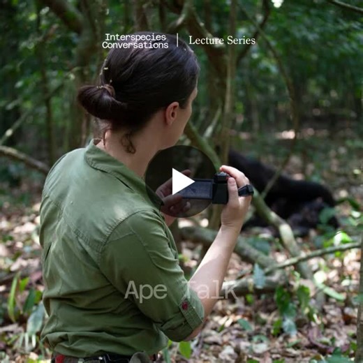 🦧 How do great apes communicate? What is it like to be a chimpanzee? In May 2024, we welcomed Catherine “Cat” Hobaiter for a fascinating lecture and discussion on ape gestures, cognition, and… | Interspecies Internet