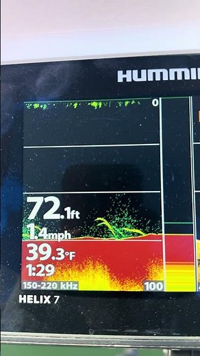 Fish look completely different on 2D vs down imaging #Humminbird #Fishing