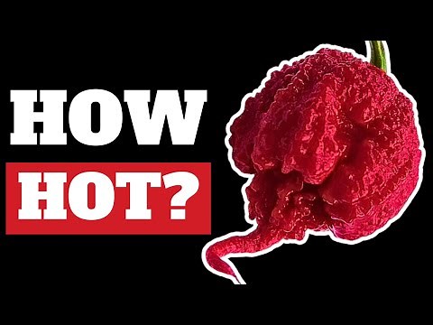 Carolina Reaper Pepper on the Scoville Scale