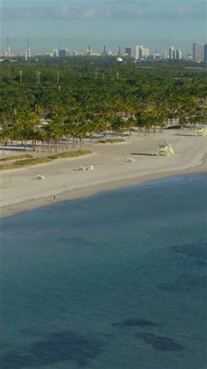 Amazing Florida Beaches You Must Visit 🏖️🌴