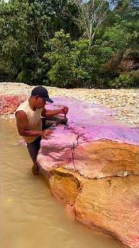 Manual gold prospecting | panning for gold | gold nugget