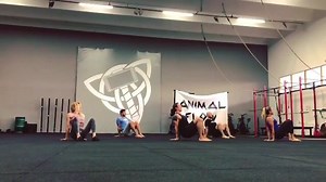 #Repost @animalflowinserbia ・・・ 🌟 BEAST FLOW 🌟 Budapest memories - Level 1 workshop over a year ago.. 🐾💫💚 #animalflowcommunity @animalflowofficial #animalflow #animalflowfamily #communityiseverything #animalflowserbia #animalflowinserbia #animalflowinstructor #whatmakesyoumove | Animal Flow
