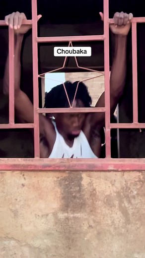 Exploring Choubaka: Fun Moments and Highlights