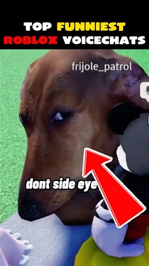 Funniest ROBLOX Voice Chats of All Time 😂 (You’ll Lose It)