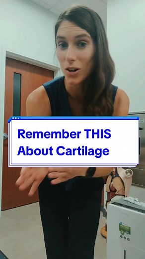 Understanding the Types of Cartilage in the Body