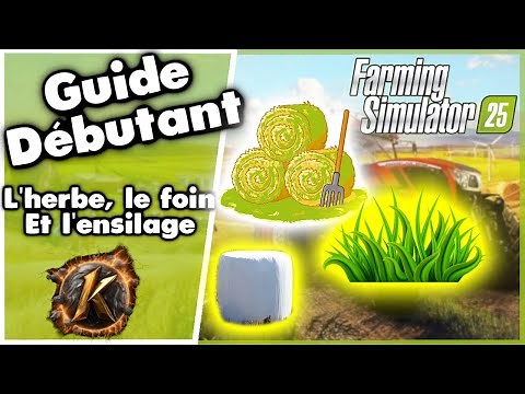 Fs25 Guide débutant! L'herbe, le foin et l'ensilage d'herbe!! Tuto pour bien débuter🤣😂 #fs25