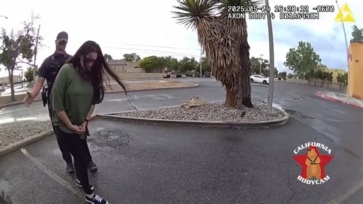 I actually lost my shit when her face appeared in between all the airbags 🤣🤣🤣🤣🤣 Learn More: http://bit.ly/4npQ0P3 Today's Deals 👉 https://amzn.to/4nlYQ0a Bodycam Group 👉 http://bit.ly/4gLbC61 . . . . . . . . . . . sc: https://www.youtube.com/watch?v=qQBx7ehktas | BB Bodycam Reaction