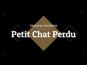 Petit Chat Perdu