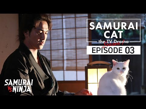 Samurai Cat Full Episode 3 | SAMURAI VS NINJA | English Sub
