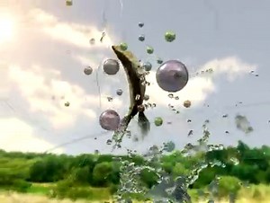 MBC Life - Fishing ID (composure)