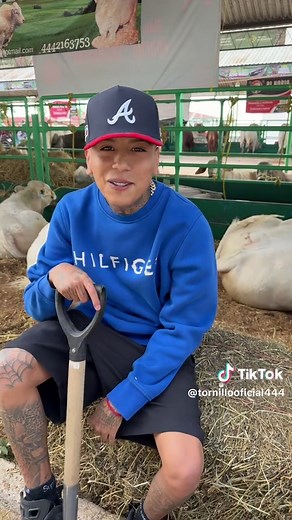 Nuevas Canciones de Tornillo: Éxitos y Colaboraciones