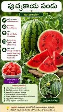 Watermelon #watermelon #youtubeshorts