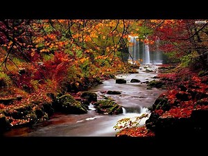 The Most Picturesque Locations You’ll Want to Visit at Mazandaran (North of Iran)