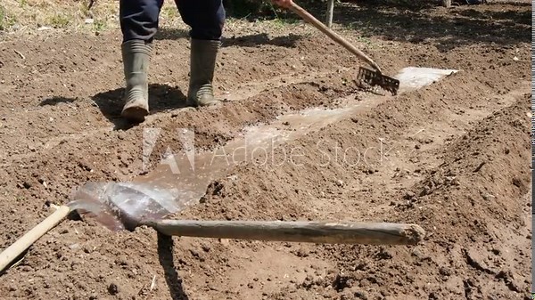 Worker works with hoe in field, cultivating land for planting vegetables. Concept of agriculture, growing food. Gardener digs soil in home garden with hoe, prepares soil for transplanting seedlings.