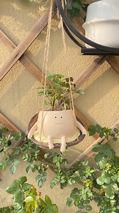 Add a touch of green to your space with our Lightweight Hanging Planter! 🌿✨ 🔍 Discover more at https://temu.to/m/ueztx2kqzgd or Search dmh4565 on Temu and bring nature indoors! #Temu #TemuFinds | Temu
